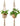 2 Pack Indoor Hanging Macrame Plant Hangers